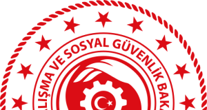 Çalışma ve Sosyal Güvenlik Bakanlığı 11 Bilişim Personeli Alacak